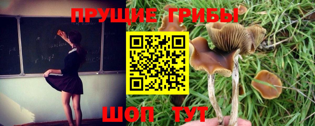 Галлюциногенные грибы GOLDEN TEACHER  Вход с VPN  Ипатово  Псилоцибиновые грибы ЛСД 